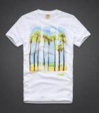 Camiseta da Hollister